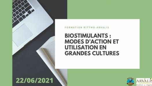 BIOSTIMULANTS : Modes d'action et utilisation en grandes cultures